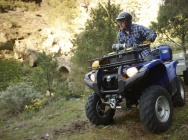 Мотоцикл Yamaha GRIZZLY 550 EPS 2012 фото