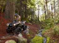 Мотоцикл Yamaha GRIZZLY 550 FI 4X4 EPS 2011 фото