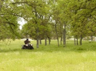 Мотоцикл Yamaha GRIZZLY 550 FI 4X4 EPS 2011 фото