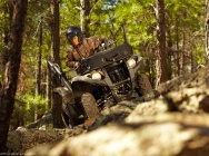 Мотоцикл Yamaha GRIZZLY 550 FI AUTO 4X4 EPS 2013 фото