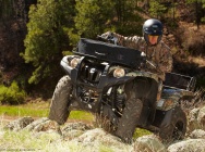 Мотоцикл Yamaha GRIZZLY 550 FI AUTO 4X4 EPS 2013 фото
