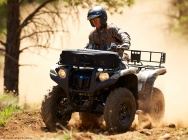 Мотоцикл Yamaha GRIZZLY 550 FI AUTO 4X4 EPS 2013 фото