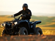 Мотоцикл Yamaha GRIZZLY 700 FI AUTO 4X4 EPS SPECIAL EDITION 2013 фото