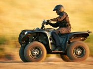 Мотоцикл Yamaha GRIZZLY 700 FI AUTO 4X4 EPS SPECIAL EDITION 2013 фото