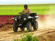 Мотоцикл Yamaha GRIZZLY 700 FI AUTO 4X4 EPS 2013 фото