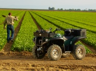Мотоцикл Yamaha GRIZZLY 700 FI AUTO 4X4 EPS 2013 фото