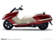 Мотоцикл Yamaha MAXAM 250 2012 фото