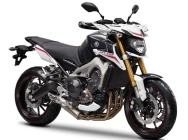 Мотоцикл Yamaha MT-09 Street Rally 2014 фото