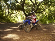 Мотоцикл Yamaha RAPTOR 125 2011 фото