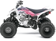 Мотоцикл Yamaha RAPTOR 125 2011 фото