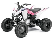 Мотоцикл Yamaha RAPTOR 125 2011 фото