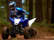 Мотоцикл Yamaha RAPTOR 125 2013 фото