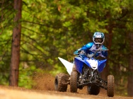 Мотоцикл Yamaha RAPTOR 125 2013 фото