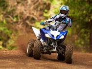 Мотоцикл Yamaha RAPTOR 250 2013 фото