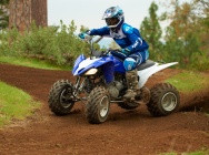 Мотоцикл Yamaha RAPTOR 250 2013 фото