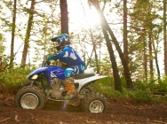 Мотоцикл Yamaha RAPTOR 250 2013 фото
