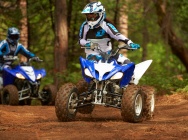 Мотоцикл Yamaha RAPTOR 250 2013 фото