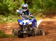 Мотоцикл Yamaha RAPTOR 250 2013 фото