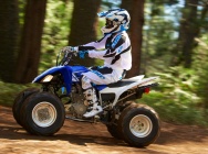 Мотоцикл Yamaha RAPTOR 250 2013 фото
