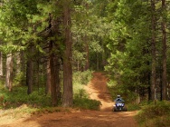 Мотоцикл Yamaha RAPTOR 250 2013 фото