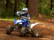 Мотоцикл Yamaha RAPTOR 250 2013 фото