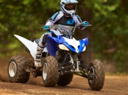 Мотоцикл Yamaha RAPTOR 250 2013 фото