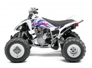 Мотоцикл Yamaha RAPTOR 250 2013 фото
