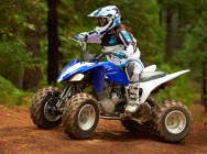 Мотоцикл Yamaha RAPTOR 250 2013 фото