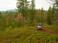 Мотоцикл Yamaha RAPTOR 250 2013 фото