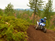 Мотоцикл Yamaha RAPTOR 250 2013 фото