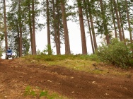 Мотоцикл Yamaha RAPTOR 250 2013 фото
