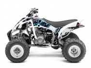 Мотоцикл Yamaha RAPTOR 350 2013 фото