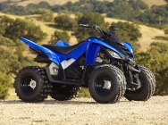Мотоцикл Yamaha RAPTOR 90 2011 фото