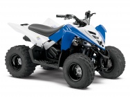 Мотоцикл Yamaha RAPTOR 90 2013 фото