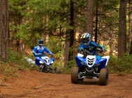 Мотоцикл Yamaha RAPTOR 90 2013 фото