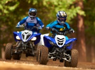 Мотоцикл Yamaha RAPTOR 90 2013 фото