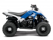 Мотоцикл Yamaha RAPTOR 90 2013 фото