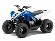 Мотоцикл Yamaha RAPTOR 90 2013 фото