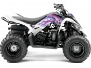 Мотоцикл Yamaha RAPTOR 90 2013 фото