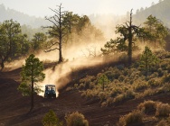 Мотоцикл Yamaha RHINO 700 FI AUTO 4X4 2012 фото