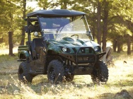 Мотоцикл Yamaha RHINO 700 FI AUTO 2012 фото