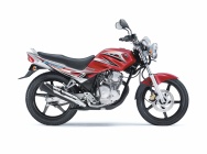 Мотоцикл Yamaha SCORPIO 225 Z 2012 фото