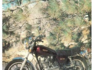 Мотоцикл Yamaha SR 500 1980 фото