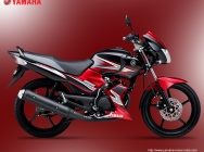 Мотоцикл Yamaha SS 125 2012 фото
