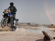 Мотоцикл Yamaha SUPER TENERE 1200 WORLDCROSSER 2013 фото