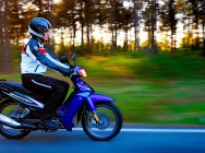 Мотоцикл Yamaha T110 C 2011 фото