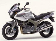 Мотоцикл Yamaha TDM 900A 2004 фото