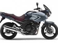 Мотоцикл Yamaha TDM 900A 2010 фото