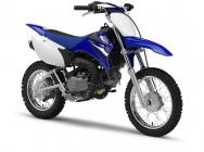 Мотоцикл Yamaha TT-R 110 E 2012 фото