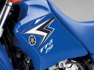Мотоцикл Yamaha TT-R 250 2011 фото